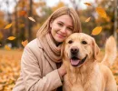 Эти собаки как милые котята: не лают, не кусают, хозяев любят - 3 шикарные породы