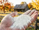 Не сидераты и не химия: кормлю почву 3 порошками - урожай прет ведрами