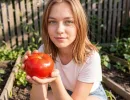 Забудьте про "Бычье сердце": эти томаты дают плоды с грейпфрут - в 2027 году только на него надеюсь