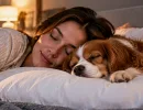 Можно ли спать с собакой на одной подушке? Что за этим скрывается и насколько это безопасно