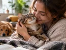 Какие люди любят кошек? 3 неочевидные черты характера – главное отличие от собачников