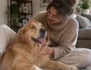 Не воют от скуки, не дерут обои и не портят обувь: 5 самых терпеливых пород собак
