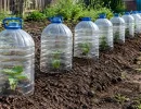 5-литровые бутылки складываю в сарай: отрезаю дно и укрываю грядки - от морозов, птиц и холода
