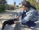Как подзывают кошек в разных странах и что будет, если русского кота позвать на немецком