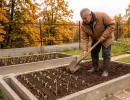 Дачники, запишите культуры, которые лучше всего посадить в октябре 2026 года