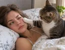 Как отучить кошку будить в 5 утра: 4 простых шага - и питомец сладко спит рядышком
