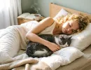 Почему кот спит в вашей кровати: причина не только в тепле и комфорте