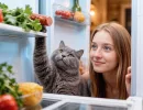 Не в пакете и не в упаковке: как хранят колбасу мудрые люди, чтобы сохранить свежесть надолго