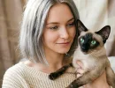 Кошки для гостеприимного дома: 3 породы, которые любят поговорить с людьми