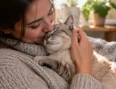 6 самых беспомощных пород кошек: хозяин им необходим как воздух