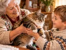 Не кот, а семейная реликвия: 5 пород-долгожителей – переживут вас и перейдут по наследству внукам
