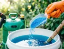 Когда осенью вносить медный купорос - 300 г на 10 л воды: иначе урожая не будет