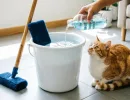 Добавляю в воду одну вещь из аптечки, и полы как новые, без разводов и жирного налёта