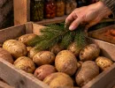 Картошка не прорастёт даже в сыром погребе: 1 небольшая веточка в ящик, и до весны урожай не сморщится и не сгниет