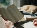 Английские клички для собак: как выбрать?