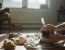 Аденовирус у собак: как лечить?
