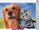 Азинокс