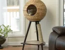 Пересмотрите условия обитания кота