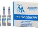 Ронко Лейкин