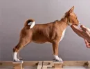 Стойка