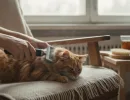 Фурминатор для кошек