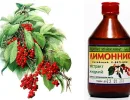 Лимонник китайский