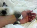 Привлечение внимания
