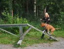 Бум (бревно)