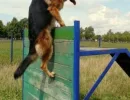 Забор без отверстий