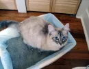 Расположение лотка на видном месте