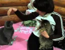 Ревность