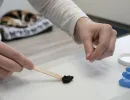 Черный кал у кота