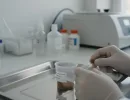 Лямблиоз у собак