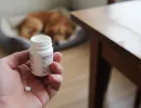 Обезболивающие для собак