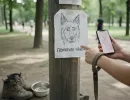 Как найти собаку, если она убежала