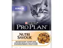 Pro Plan Junior