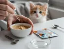 Чем кормить котенка в один месяц