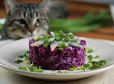 Ленивая, но вкуснейшая шуба: теперь готовлю на Новый год - без лишнего майонеза и возни с овощами