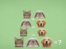 Сколько весит собака, кошка и кролик? Милая задачка, которую проходят единицы