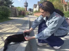 Как подзывают кошек в разных странах и что будет, если русского кота позвать на немецком