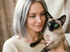 Кошки для гостеприимного дома: 3 породы, которые любят поговорить с людьми