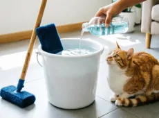 Добавляю в воду одну вещь из аптечки, и полы как новые, без разводов и жирного налёта