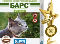 Барс