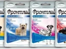 Фронтлайн