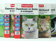 Beaphar
