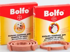 Bolfo