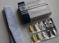 «Доксициклин» для кошек: инструкция по применению