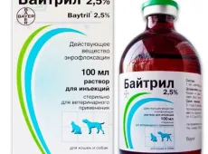 «Байтрил» для кошек: инструкция по применению