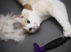 Фурминатор для кошек
