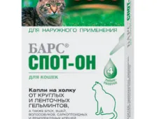 «Спот-он»